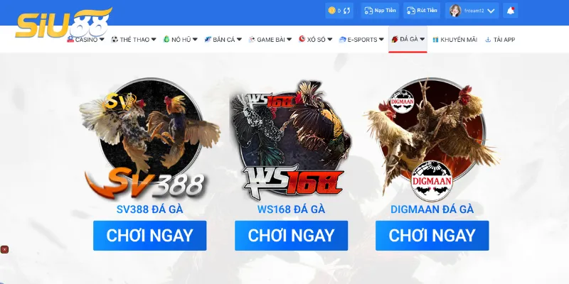 Hướng dẫn cách tham gia đá gà Siu88