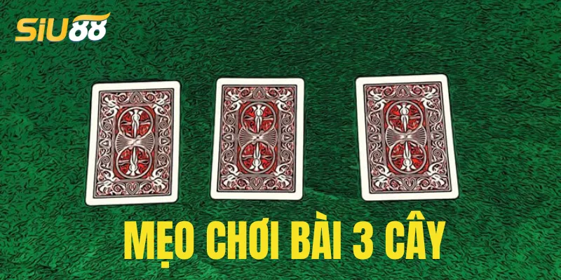 Tầm quan trọng khi áp dụng mẹo chơi bài 3 cây
