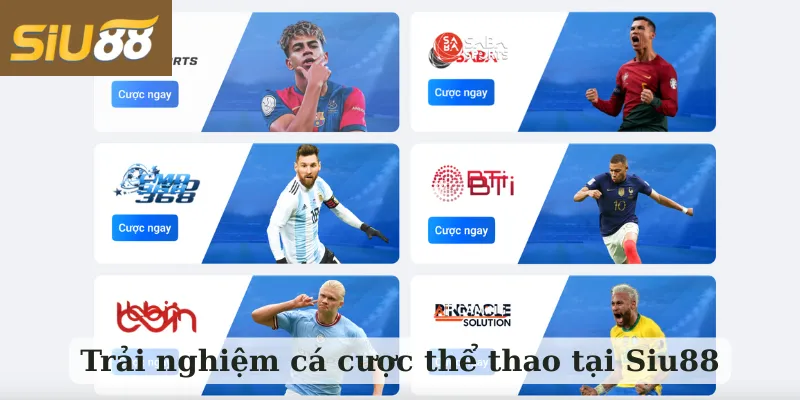 Trải nghiệm cá cược thể thao tại Siu88